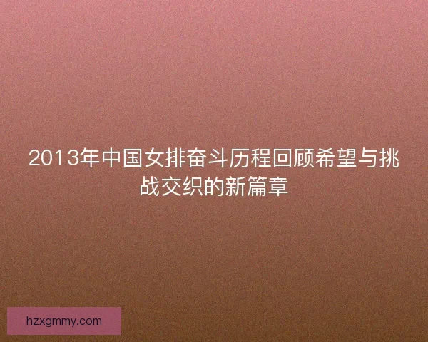 2013年中国女排奋斗历程回顾希望与挑战交织的新篇章